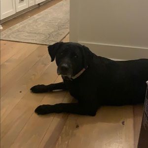 Meet your Posher, Aimee